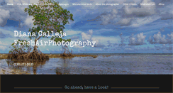 Desktop Screenshot of dianacalleja.com